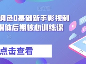 0基础影视制作教程：剪辑调色全攻略，自媒体后期核心训练课-54创业网
