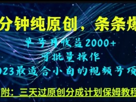 3分钟原创视频号爆款秘籍：轻松月入过万技巧大公开-54创业网