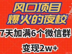 爆火夜校7天变现2w+：6个微信群加满技巧揭秘-54创业网