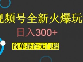视频号爆火玩法揭秘：日入300+无门槛，新手也能轻松操作-54创业网
