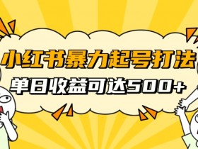 11月小红书暴力起号秘籍：素人冷启动日赚500+的自媒体创业最新玩法-54创业网