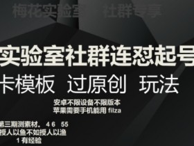 梅花实验室社群运营：连怼起号+卡模板过原创玩法揭秘-54创业网