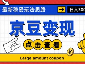 京豆变现新玩法：小白轻松上手，详细课程揭秘赚钱技巧-54创业网