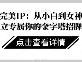 从小白到女神：3步打造完美IP，专属金字塔招牌速成指南-54创业网