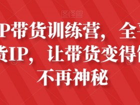 素人IP带货训练营：0基础变身全平台最强带货IP，轻松赚钱不踩坑-54创业网