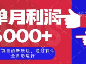 全自动陪聊软件赚钱秘籍：单月利润6000+实操大公开-54创业网