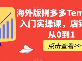 海外版拼多多Temu开店教程：0基础新手7天速成爆单攻略-54创业网