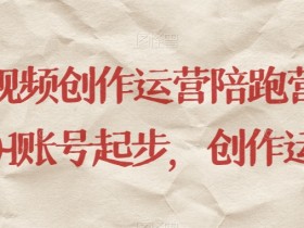 0基础短视频运营陪跑营：从0-1打造爆款账号，轻松学创作运营-54创业网