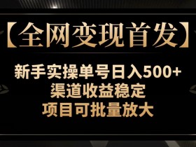 新手日赚500+：全网首发稳定变现项目，实操单号可批量放大-54创业网
