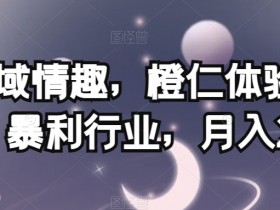 情趣用品暴利揭秘：橙仁体验馆私域运营月入2W实战分享-54创业网