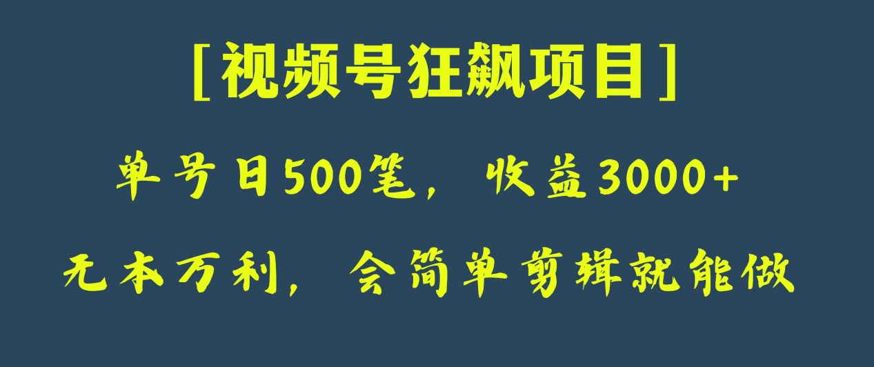 视频号狂飙项目：日收款500笔纯利3000+，新手也能轻松赚钱！-54创业网