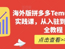 海外版拼多多Temu开店运营教程：从入驻到爆单实战指南-54创业网