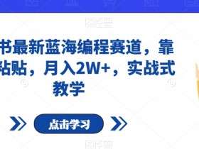 最新编程副业：复制粘贴月入2W+实战教学｜小红书蓝海赛道揭秘-54创业网