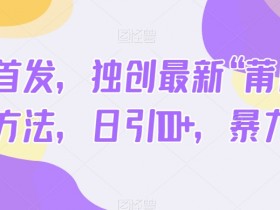 莆田鞋引流新方法：日引100+流量，暴力变现全网首发-54创业网