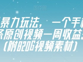 视频号赚钱：1个手机3分钟原创视频，周赚3800元+送820G素材-54创业网