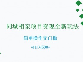 同城相亲项目变现：0门槛日赚500+，全新玩法大揭秘-54创业网
