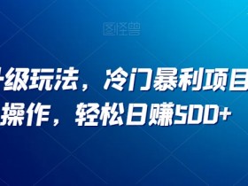 小红书冷门暴利项目：无门槛日赚500+升级玩法揭秘-54创业网