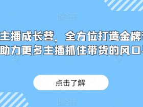 金牌主播成长营：全方位打造带货主播，抓住直播带货风口红利-54创业网