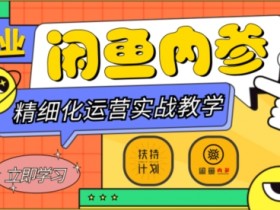 闲鱼副业变现攻略：精细化运营入门到高阶实战，轻松玩转多维度赚钱-54创业网