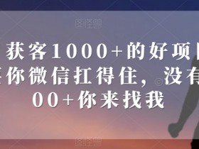 微信日引1000+精准客户暴利项目，稳赚不赔无效退款【实操教程】-54创业网