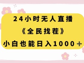 24小时无人直播赚钱：全民找茬项目，小白日入1000+实操揭秘-54创业网