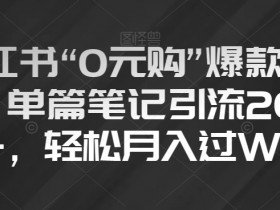 0元购小红书爆款笔记：单篇引流200+，轻松月入过W技巧揭秘-54创业网