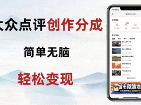 大众点评赚钱攻略：新手零成本日赚300+的隐藏玩法大公开！-54创业网