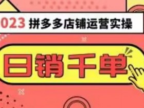 2023拼多多运营爆款选品技巧：10节课每天30分钟日销1000+实操大全-54创业网
