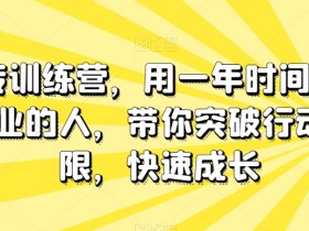 一年成为专业人士：板砖训练营突破行动局限快速成长-54创业网