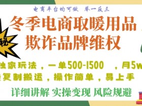 电商平台冬季取暖用品欺诈揭秘：单日入900+的店铺制裁方法-54创业网