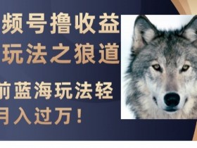 视频号撸收益新玩法：狼道蓝海项目揭秘，轻松月入过万实操教程-54创业网