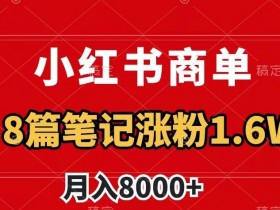 8篇小红书笔记涨粉1.6w：揭秘商单最新玩法，简单制作月入8000+-54创业网