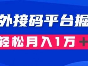 国外接码平台赚钱：1.3元成本10元利润，轻松月入1万+【实战揭秘】-54创业网