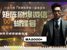 矩阵玩法揭秘：微信蝴蝶号创作者分成计划日赚2000+实操教程-54创业网