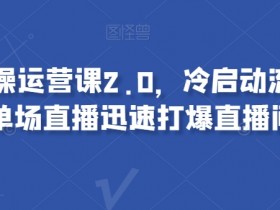 视频号运营课2.0：冷启动流量暴涨秘籍，单场直播引爆直播间实操技巧-54创业网