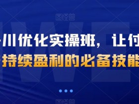 抖音千川投放优化技巧：付费投产ROI提升实战班，手把手教你盈利-54创业网