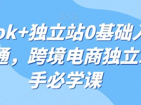 TikTok独立站0基础入门到精通：跨境电商新手必学赚钱课-54创业网