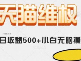 天猫维权赚钱秘籍：日赚500+小白无脑操作，动动手就能轻松赚钱-54创业网