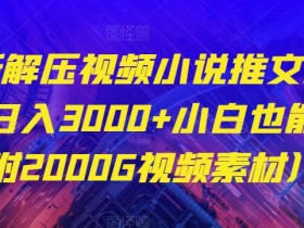 解压视频小说推文项目：日入3000+小白教程（附2000G素材包）-54创业网