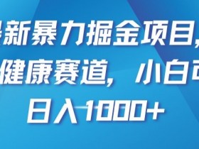暴力掘金项目：雄狮健康赛道小白日入1000+最新揭秘-54创业网