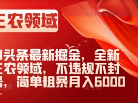 AI三农领域赚钱新玩法：不违规不封号，简单操作月入6000+【AI头条掘金】-54创业网
