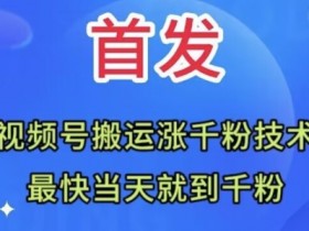 视频号涨粉秘籍：无脑搬运当天破千粉，新手必看【全网首发】-54创业网