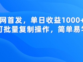 单日收益1000+全网首发：批量复制操作揭秘，简单易学赚钱教程-54创业网