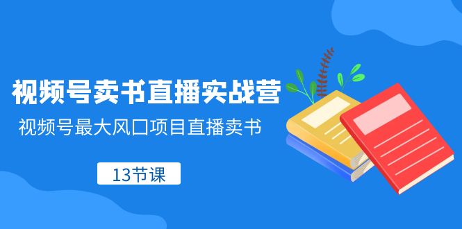 视频号卖书直播课：13节实战营教你抓住最大风口赚钱-54创业网