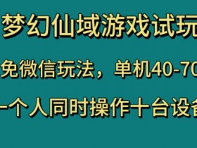 梦幻仙域单机游戏试玩：免微信40-70级速刷，1人操控10台设备技巧大公开-54创业网