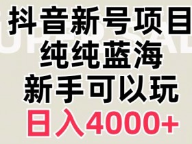 抖音新账号日入4000+：蓝海赛道赚钱秘籍大揭秘-54创业网