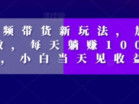 短视频带货特效玩法：新手当天赚1000+的躺赚秘籍-54创业网