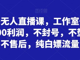 拼多多无人直播课：日赚5000+不封号不垫资，0售后白嫖流量暴利玩法-54创业网