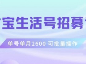 支付宝生活号赚钱攻略：单号月入2600+，批量操作月赚1w+，工作室暴利项目揭秘-54创业网
