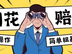烟花爆竹赔付新玩法：单订单200-500元无脑操作，蓝海项目大揭秘-54创业网